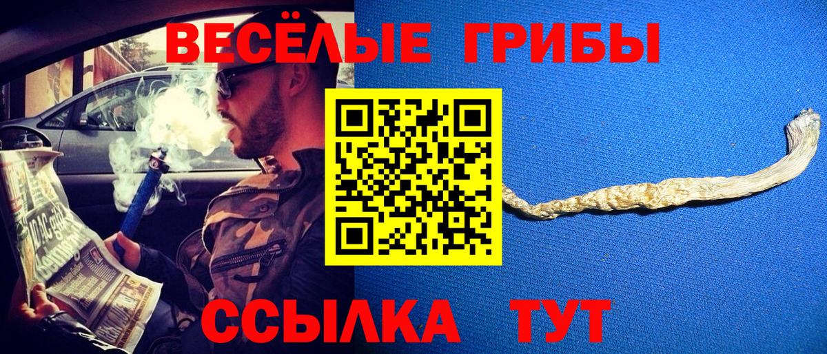 Галлюциногенные грибы GOLDEN TEACHER  Псилоцибиновые грибы GOLDEN TEACHER  Чапаевск  Вход с VPN 