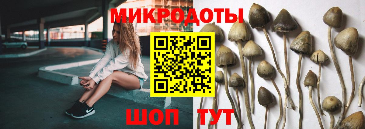 Псилоцибиновые грибы прущие грибы Чапаевск